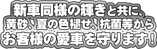 Corting01.gif